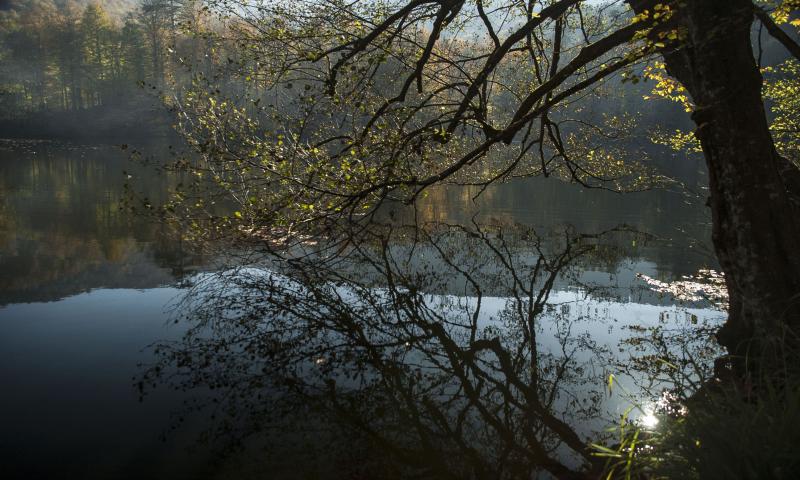 Habitat Mesire Genel 2