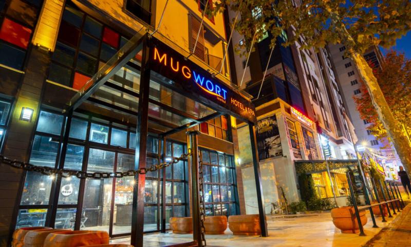 Mugwort Hotel & Spa Istanbul Genel 2