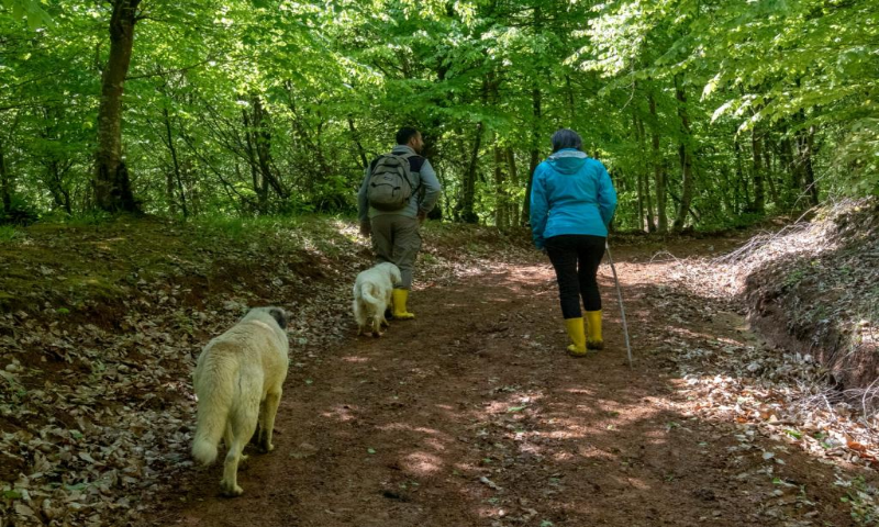 Narköy Ecologic Hotel & Organic Farm Aktivite ve Eğlence 1