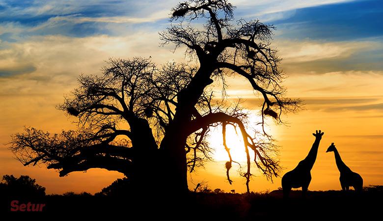 Dolu Dolu Güney Afrika Safari Turu Rotası