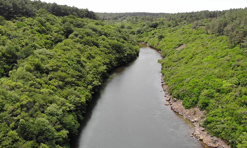 Butik Sinop Kastamonu Turu