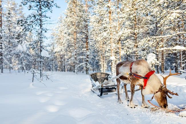 Lapland Noel Babanın Evi Buzkıran Gemisi ve Igloo Konaklama SE