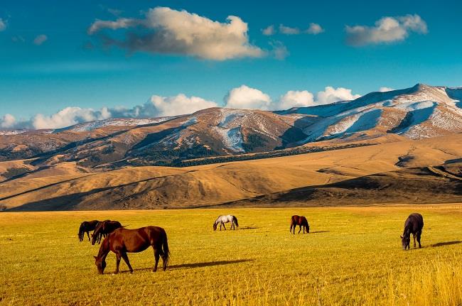 Dolu Dolu Kırgızistan & Kazakistan & Özbekistan Turu Rotası 2