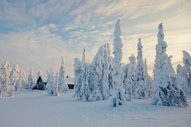 Lapland Noel Babanın Evi Buzkıran Gemisi ve Igloo Konaklama SE