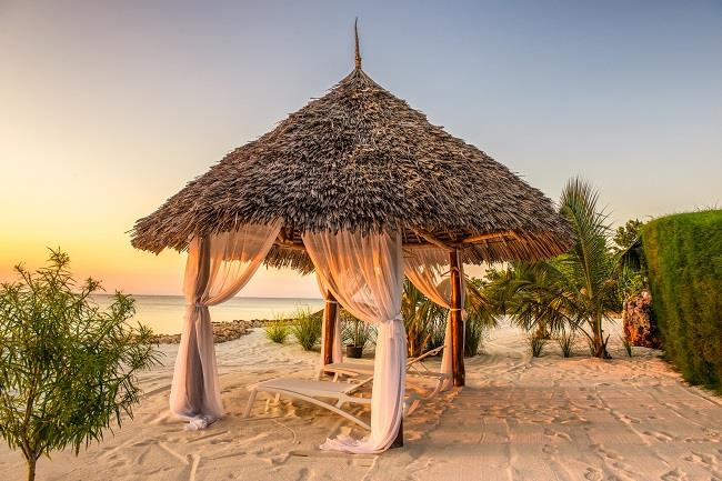 Kenya'da Safari ve Zanzibar'da Okyanus Turu (1) SE