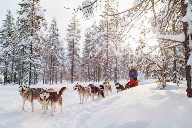 Lapland Noel Babanın Evi Buzkıran Gemisi ve Igloo Konaklama SE