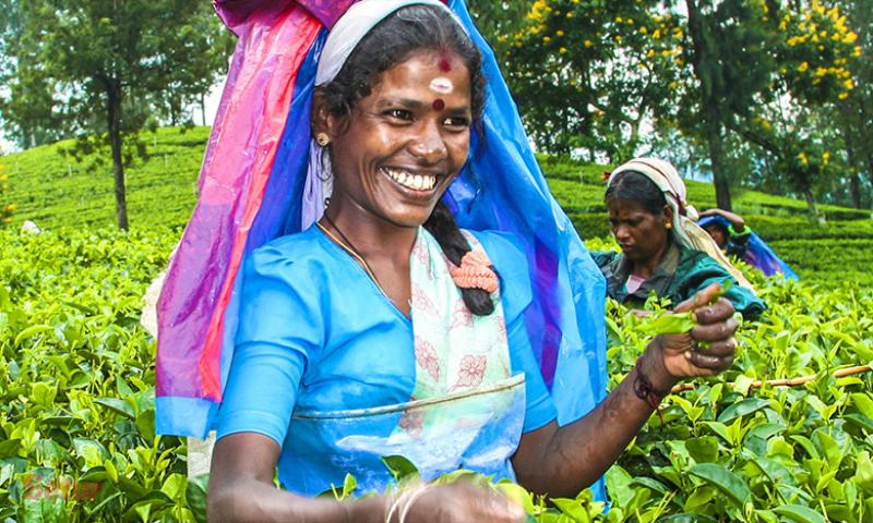 Dolu Dolu Büyük Sri Lanka Turu Rotası