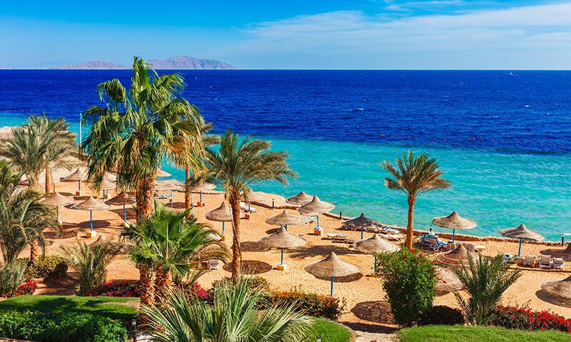 Sharm El Sheikh - Kızıldeniz Rotası (Thy ile 4 Gece- TK700) 1