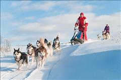 Lapland; Noel Baba'nın Evi ve Buzkıran Gemisi SE