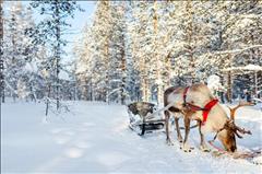 Lapland; Noel Baba'nın Evi ve Buzkıran Gemisi SE