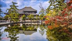Koyo Zamanı; Japonya (1) SE