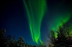 Lapland; Noel Baba'nın Evi ve Buzkıran Gemisi SE