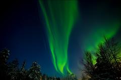 Süper Promo Lapland Turu Beyaz Rotalar