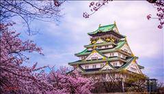 Koyo Zamanı; Japonya (1) SE