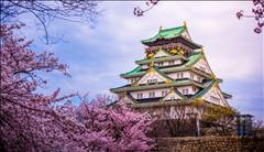 Yılbaşı Özel Süper Promo Japonya Turu Mistik Rotalar
