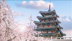 Yılbaşı Özel Süper Promo Japonya Turu Mistik Rotalar