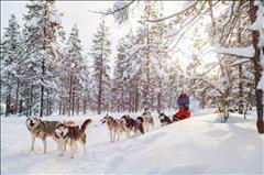 Lapland; Noel Baba'nın Evi ve Buzkıran Gemisi SE
