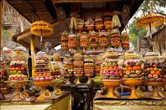 Fırsat Bali - Ubud Turu